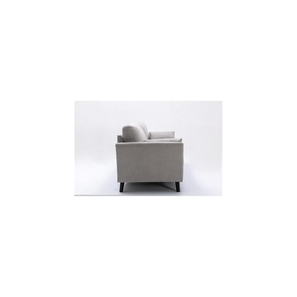 Pemberly Row 77" Sofa, Light Gray Velvet Upholstery, Pocket Coil Springs, Solid Wood Frame, Foam Padding, Dark Brown Legs, Includes 2 Accent Pillows, Transitional Style Living Room Seating, 34 x 77 x
