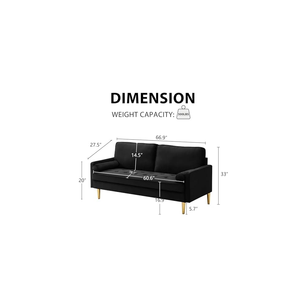 67" Modern Loveseat Sofa Velvet Tufted Sofa Comfortable 2-seat Couch