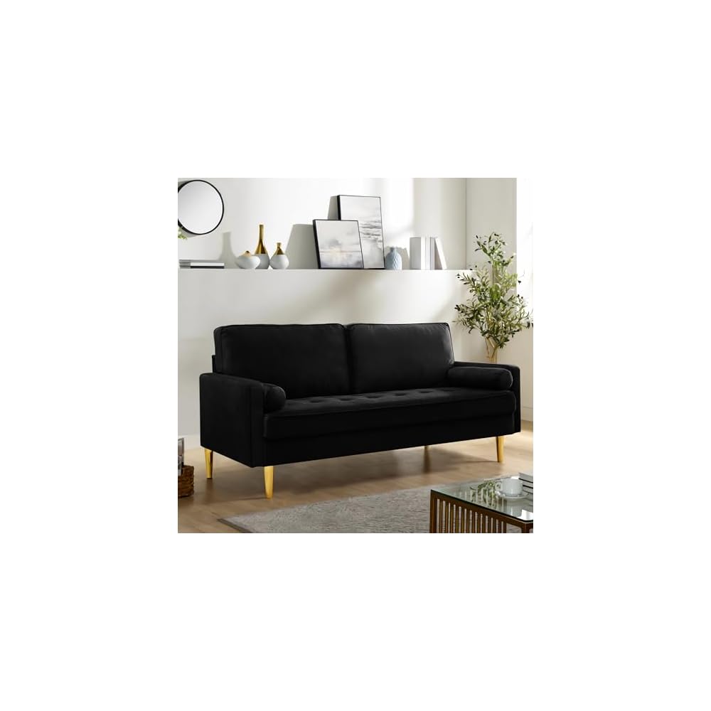 67" Modern Loveseat Sofa Velvet Tufted Sofa Comfortable 2-seat Couch